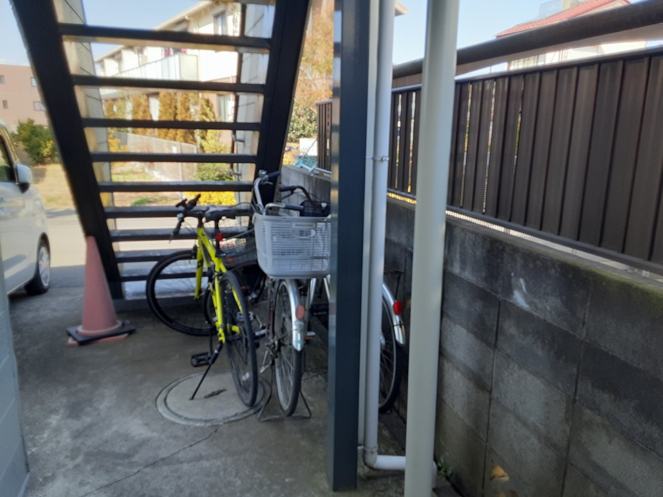 20/30 その他画像