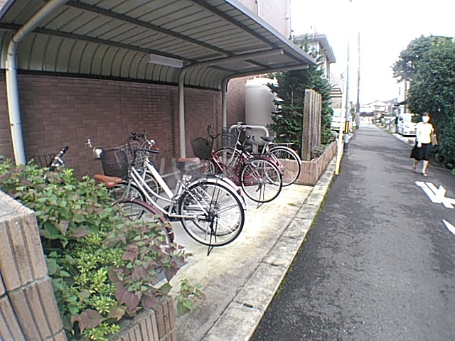 20/30 その他画像