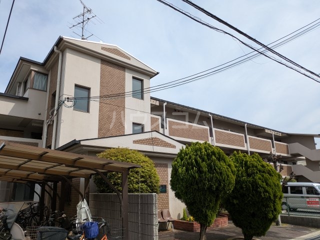 17/25 その他画像