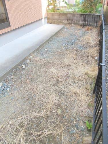 19/25 その他画像