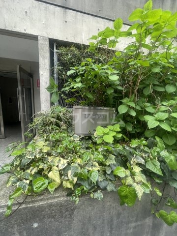 17/21 その他画像