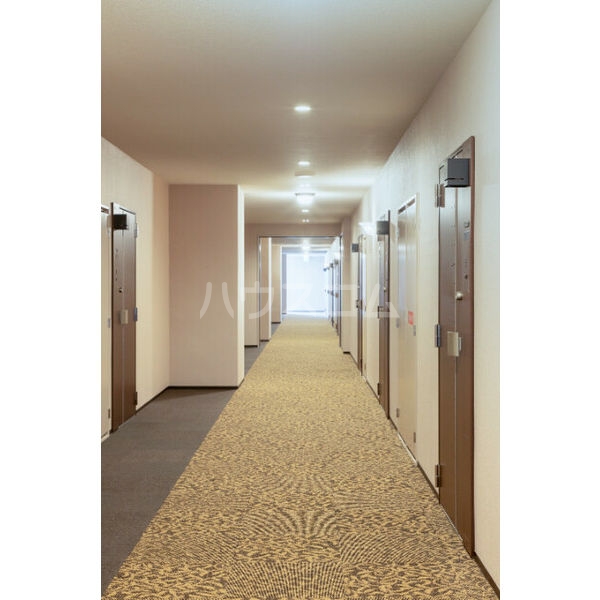 15/25 その他画像