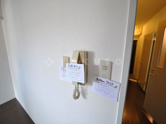 15/23 その他画像