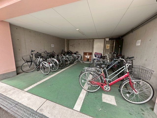 20/30 その他画像