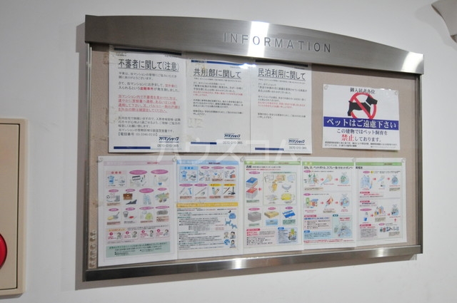 5/23 その他画像