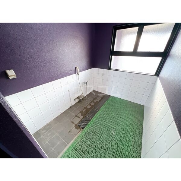 15/30 その他画像