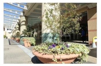 14/21 その他画像