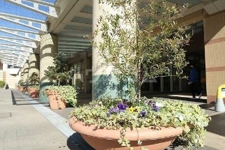 5/14 その他画像