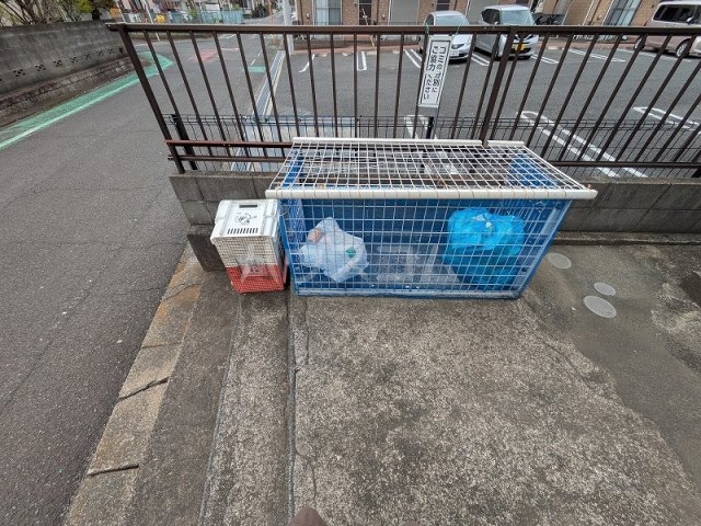 20/26 その他画像