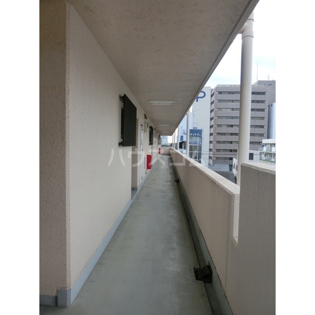 5/15 その他画像