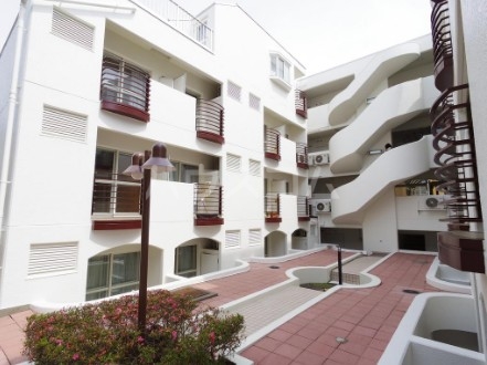 9/19 その他画像