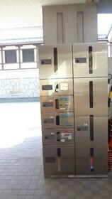 14/17 その他画像