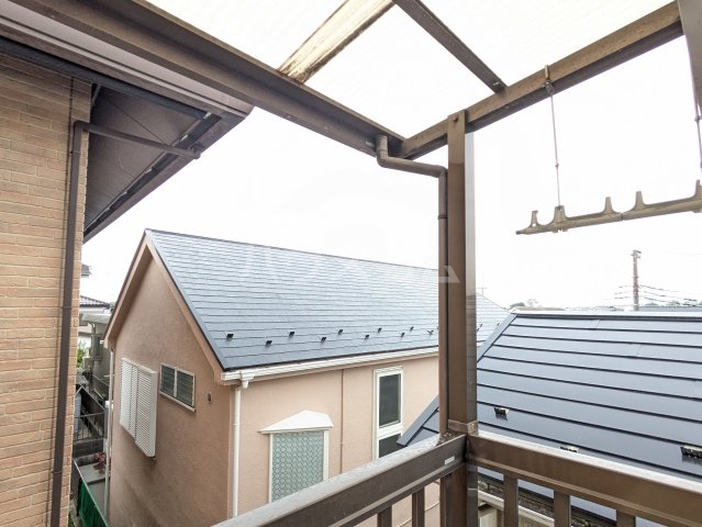 21/24 その他画像