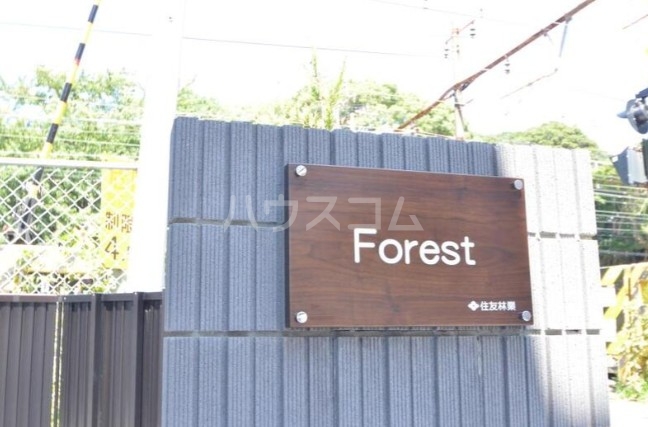 3/11 その他画像