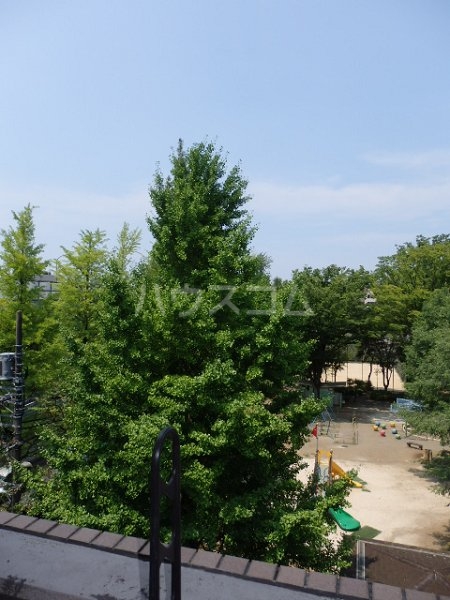 20/30 その他画像