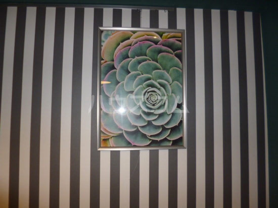 14/28 その他画像