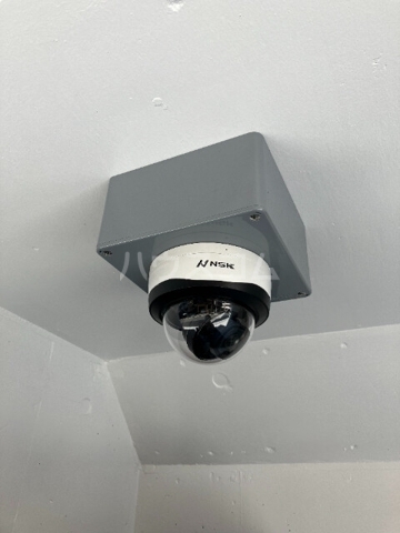 4/11 その他画像