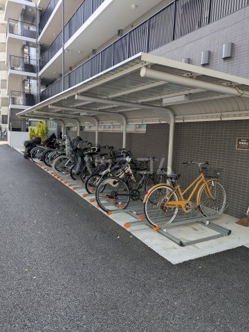 3/17 その他画像