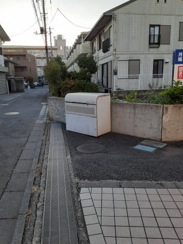 20/30 その他画像