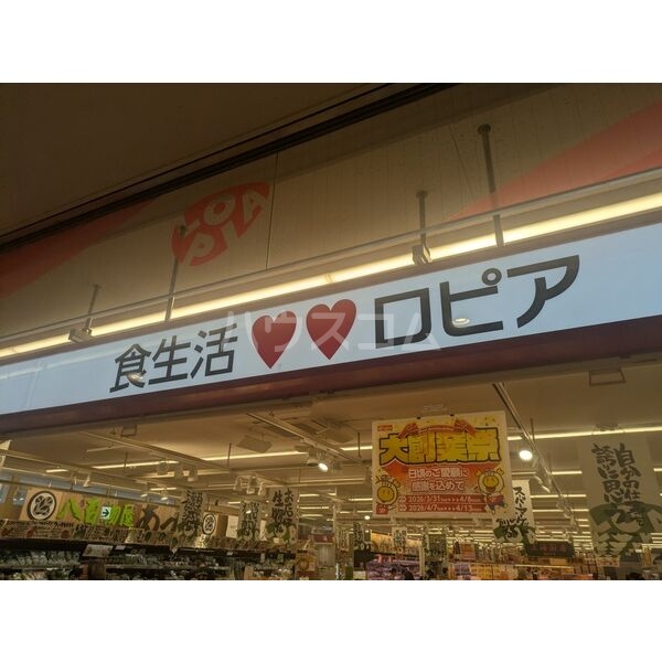 28/30 周辺