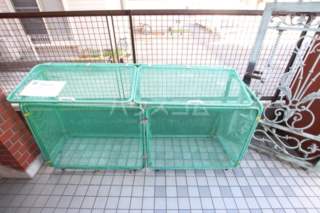 19/29 その他画像