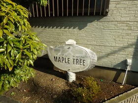 11/24 その他画像