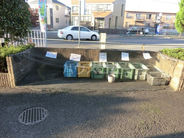 20/30 その他画像