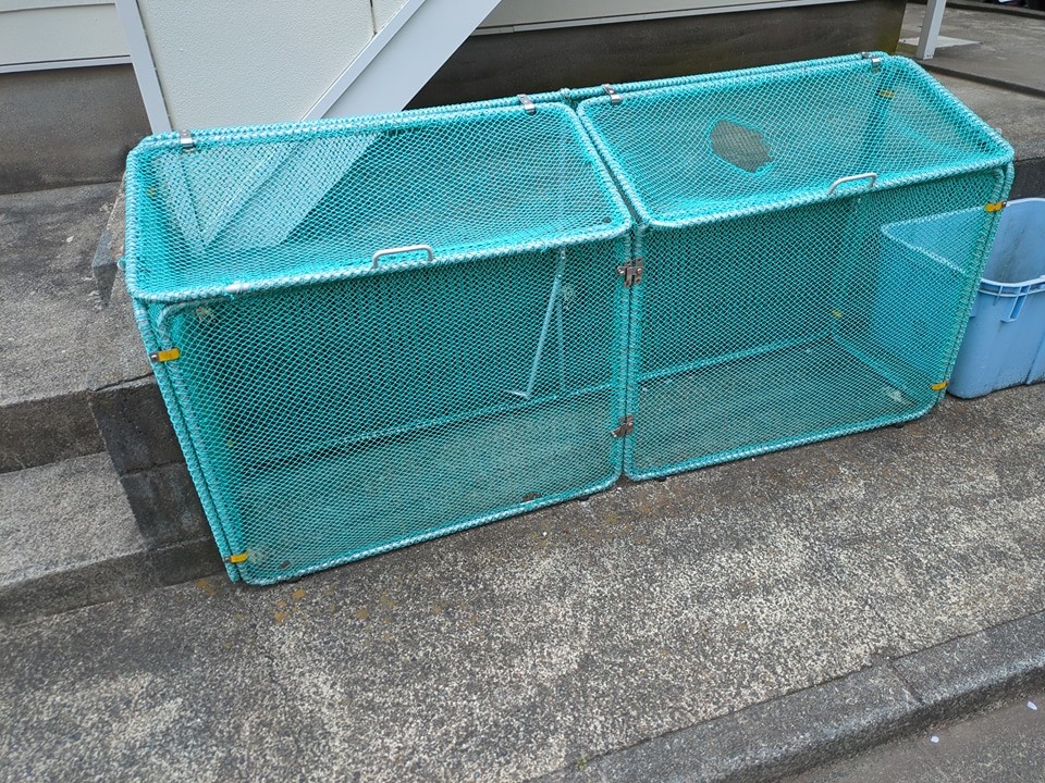 4/12 その他画像