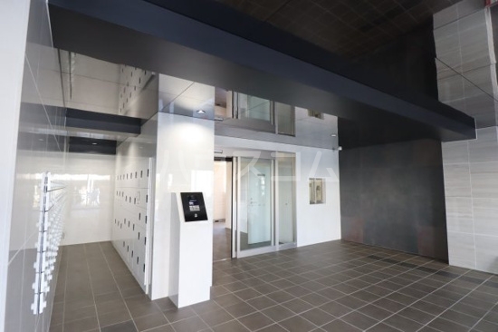 11/25 その他画像