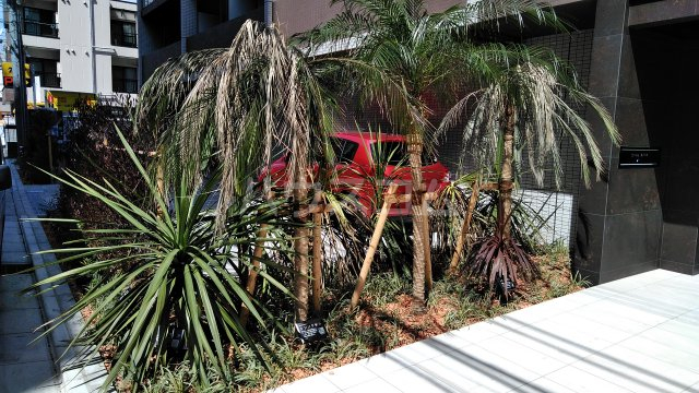 26/30 その他画像