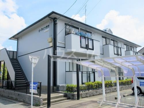 3/16 その他画像