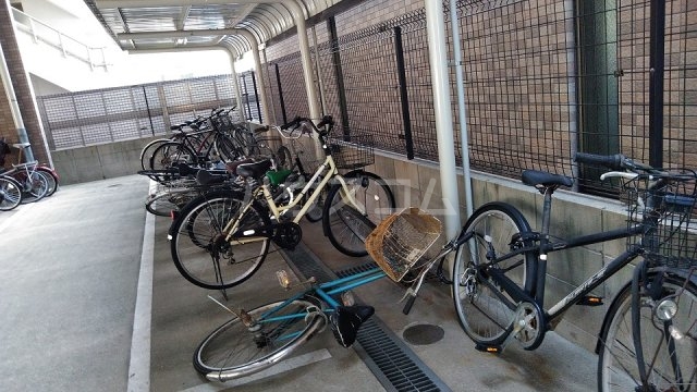 13/21 その他画像