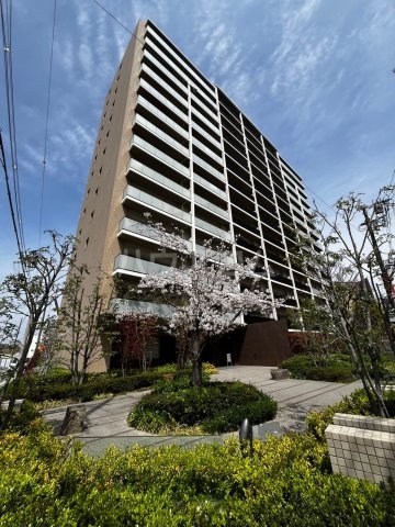 16/30 その他画像