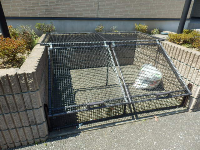 17/25 その他画像