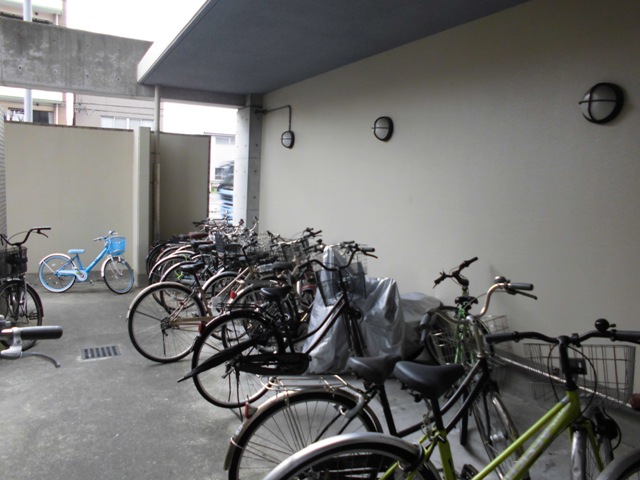 5/17 その他画像