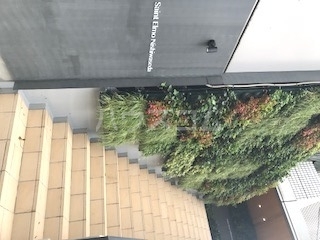 18/28 エントランス