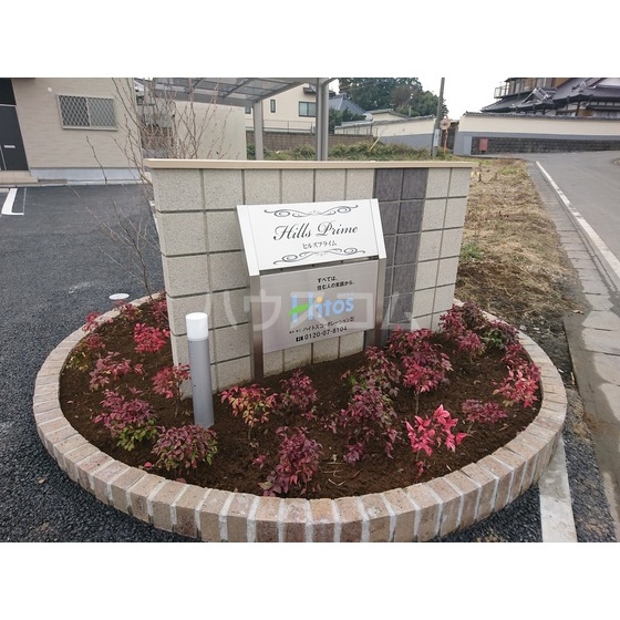 17/25 その他画像