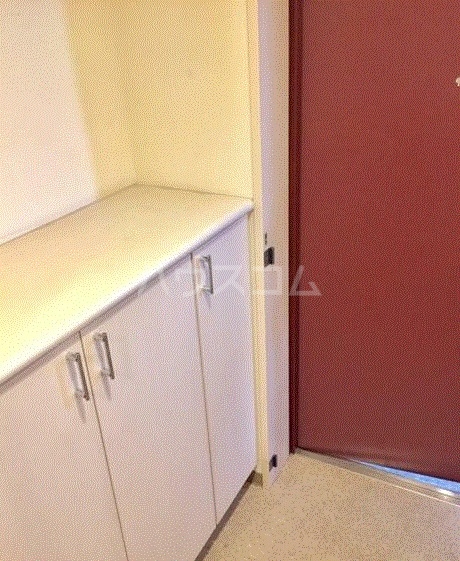 20/30 その他画像