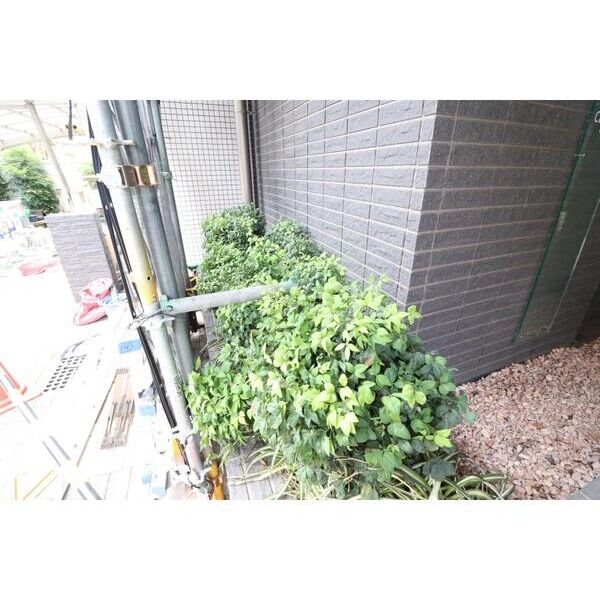 3/16 その他画像