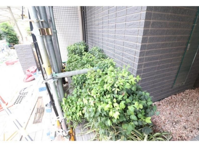 3/19 その他画像