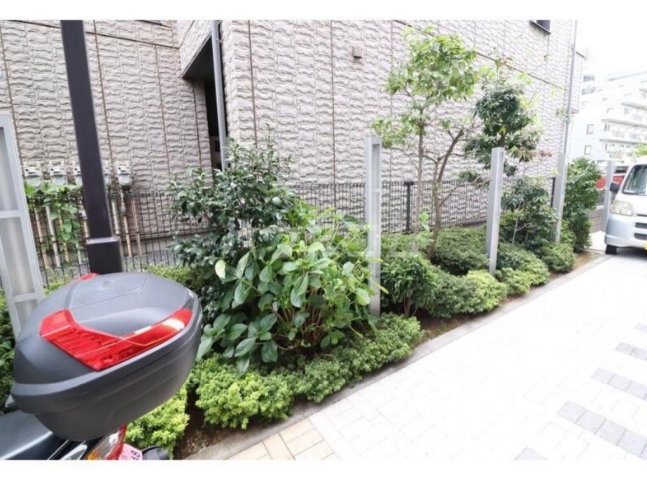 6/19 その他画像