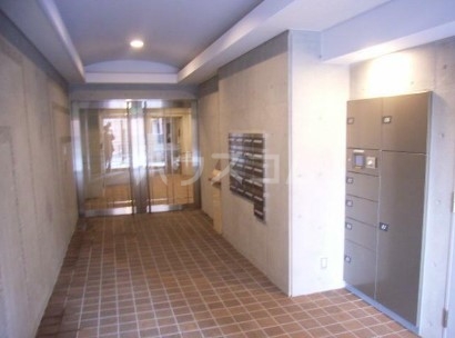 8/17 その他画像