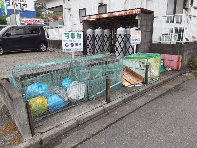 20/30 その他画像