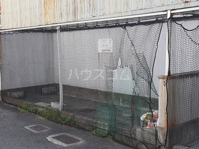 17/29 その他画像