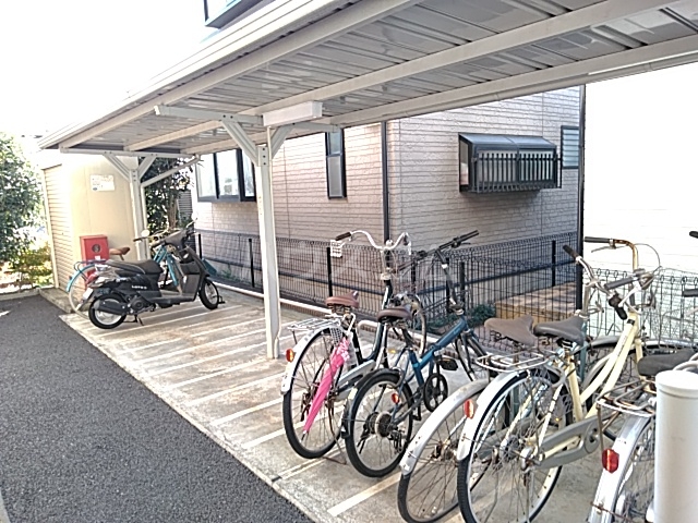 5/17 その他画像