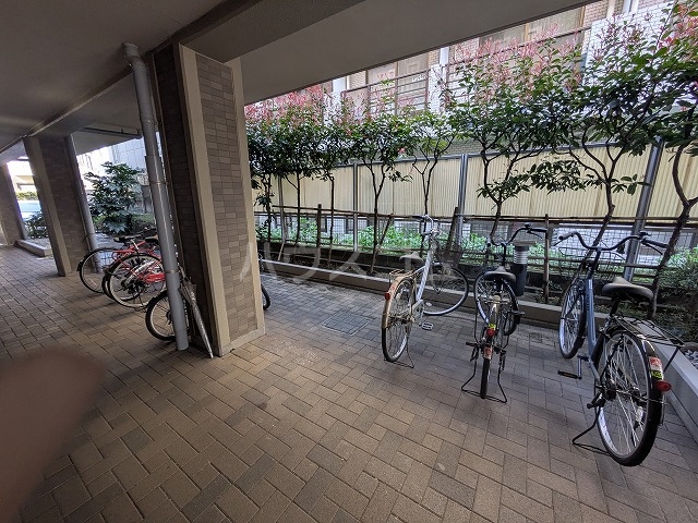 5/12 その他画像