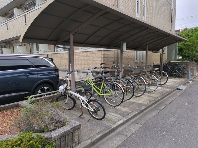 20/30 その他画像