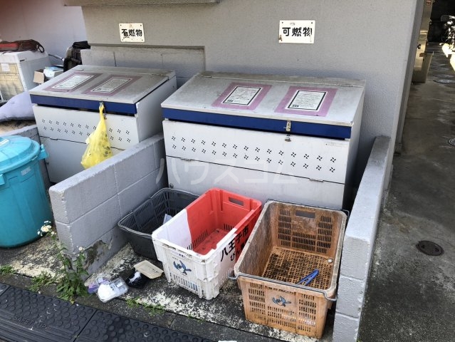 20/30 その他画像