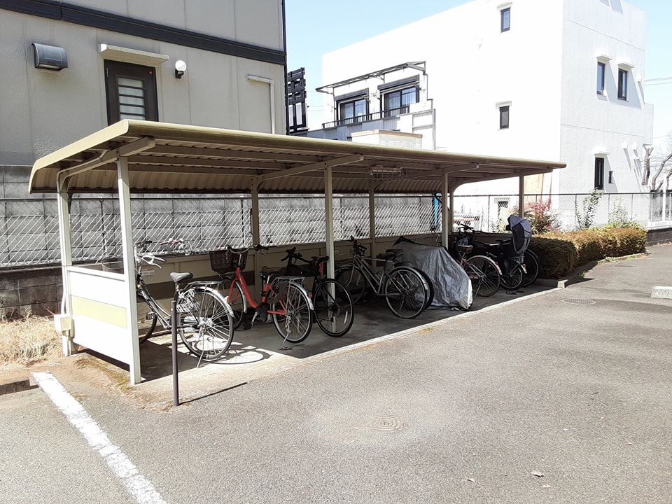 20/30 その他画像