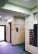 3/12 その他画像